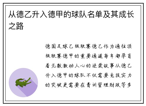 从德乙升入德甲的球队名单及其成长之路